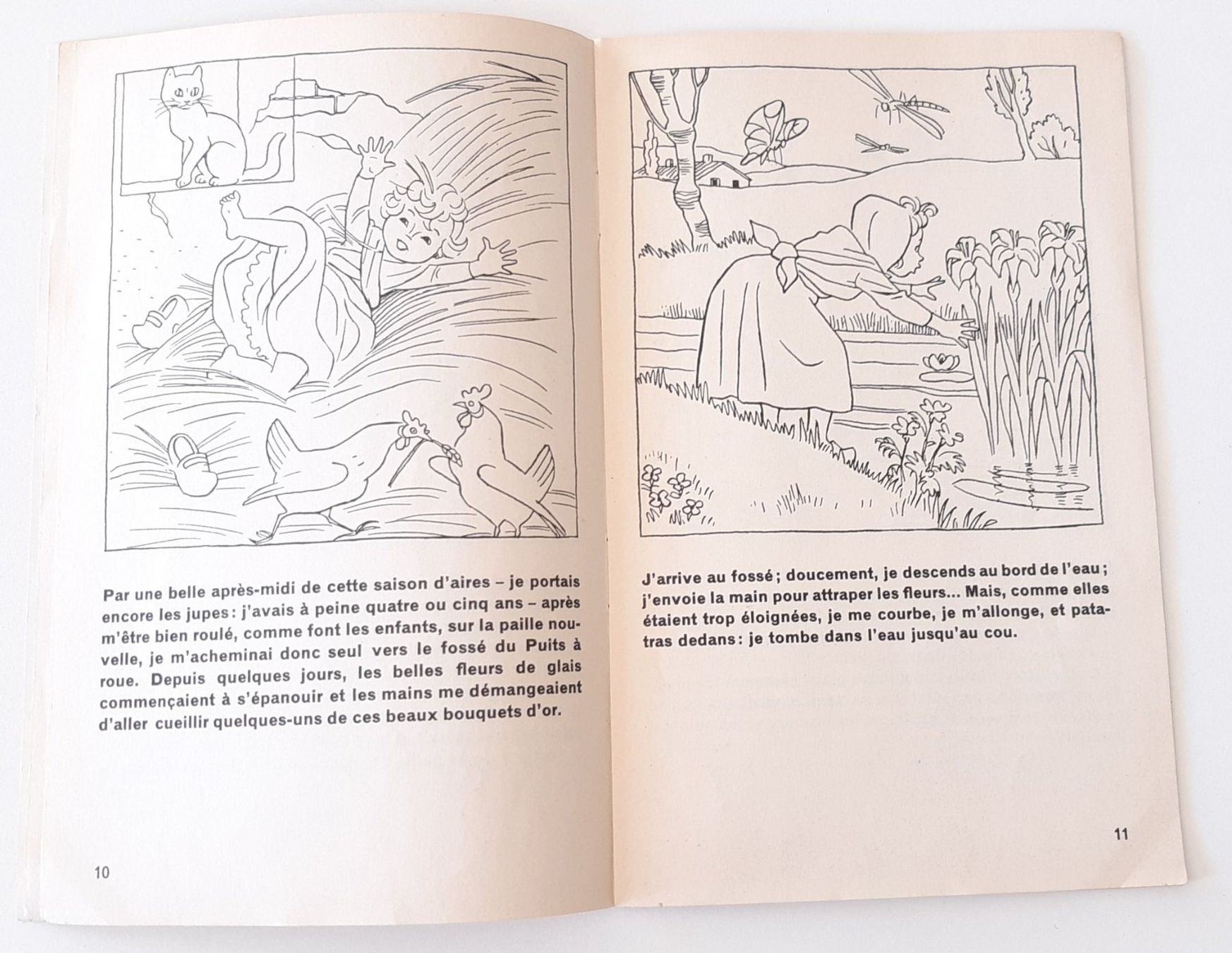 Livres: Les fleurs de glais -  Brochure OSL 478 – D'occasion à Savagnier par Marderuth 5