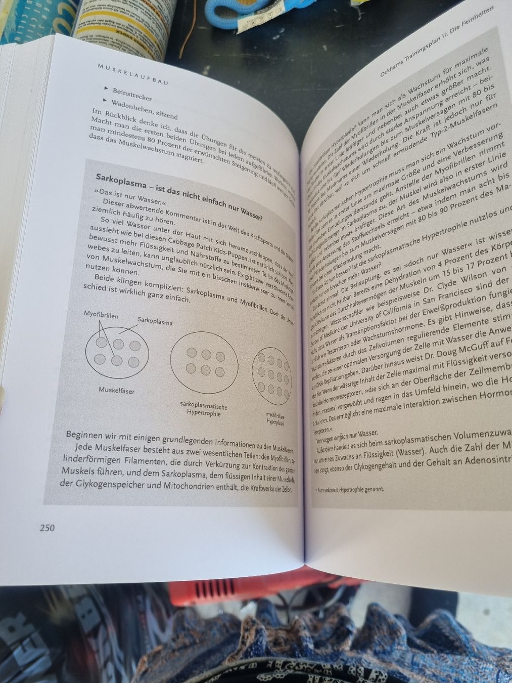Libri: Der 4 Stunden Körper  Buch – Usato da Rickenbach LU venduto da sammija 3