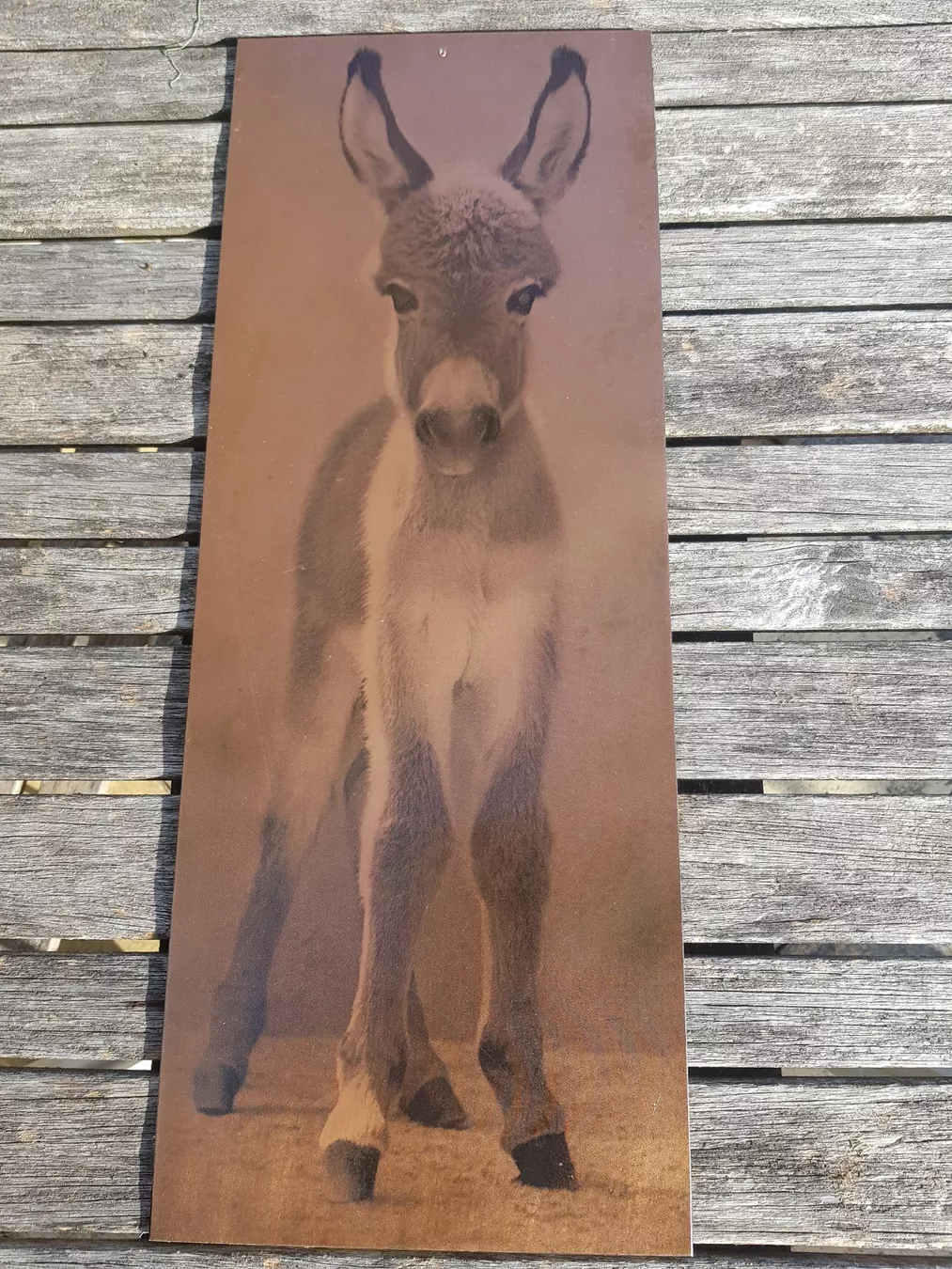 Poster & Bilder: Kupferbild von Esel – Gebraucht aus Jona von dampfnuggi