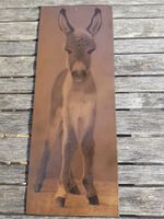 Kupferbild von Esel