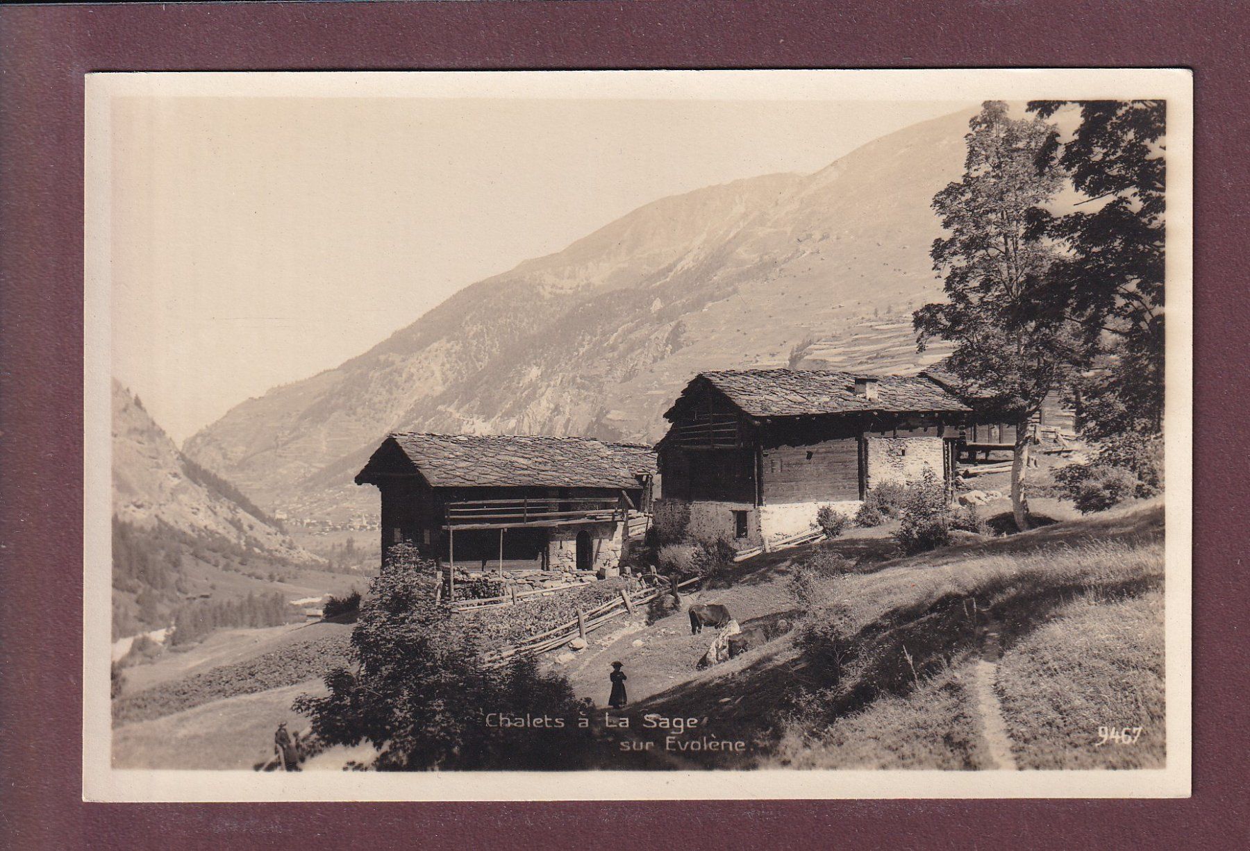 Cartes postales: Chalets à LA SAGE sur Evolène – D'occasion à Pully par nicecards