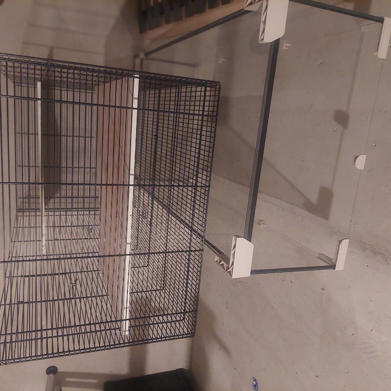 Gabbie, trasporto & Sicurezza: Hamsterkäfig – Usato da Hinwil venduto da pas_pgd5