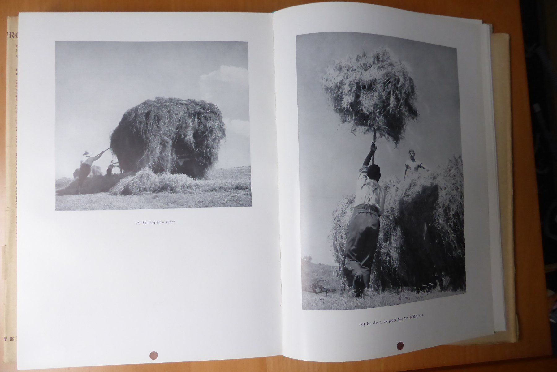 Bücher: Thurgau - Helvetia, 1941 – Gebraucht aus Brunnadern von lesezirkel 7