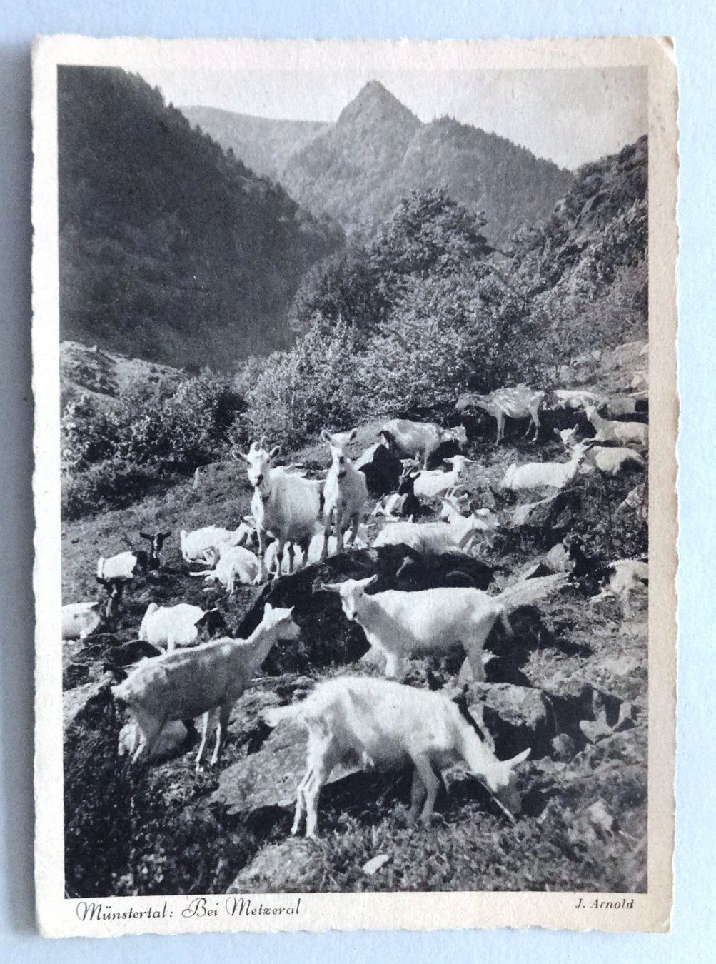 Cartoline postali: Münstertal bei Metzeral – Usato da Fétigny venduto da Billy2miny