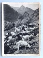 Münstertal bei Metzeral