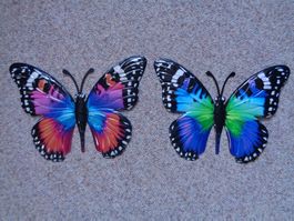 Schmetterling farbig 2 Stk. (24.5 cm)