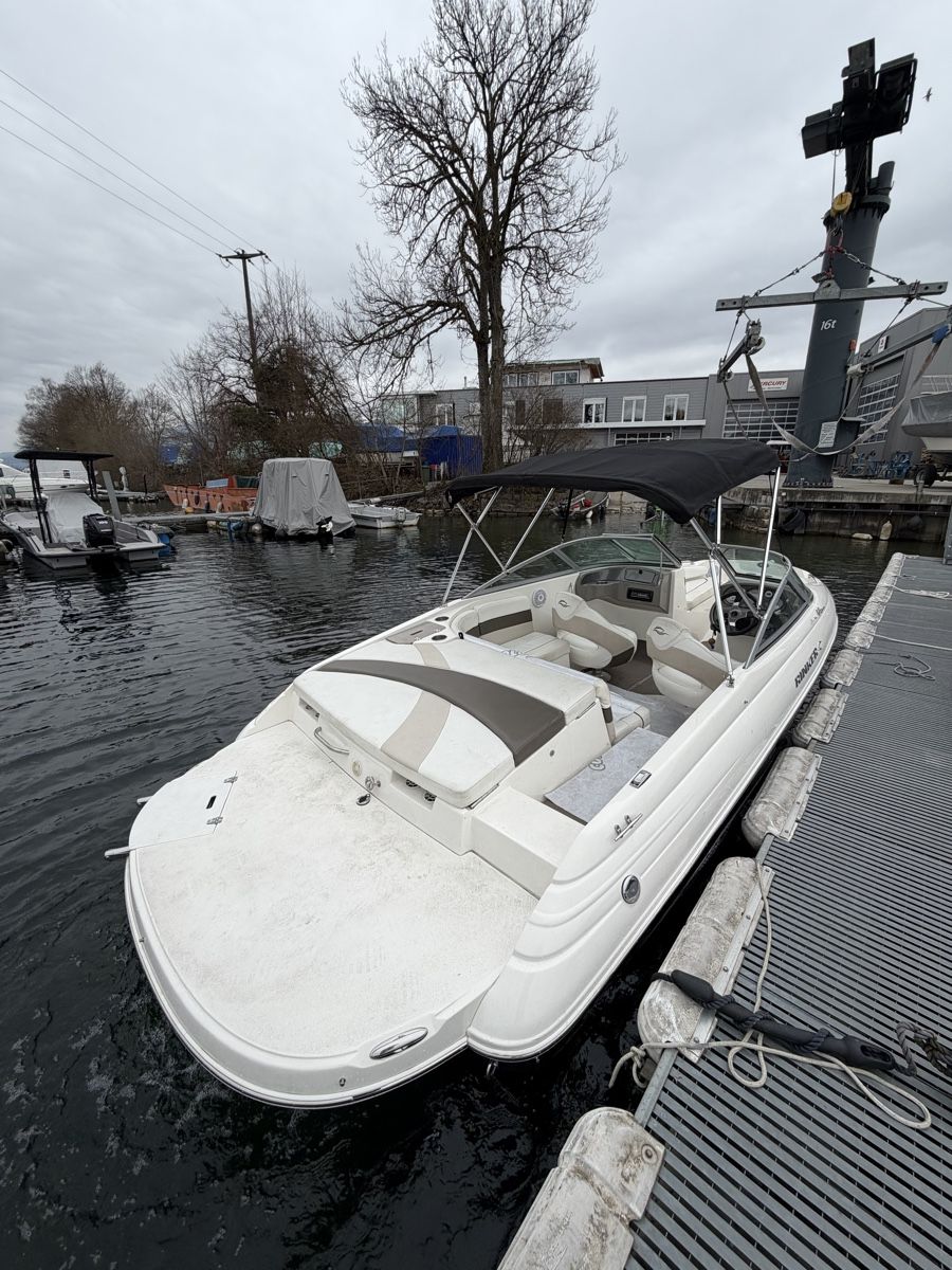 Barche: Motorboot Rinker 192BR inkl. Trailer – Usato da Solothurn venduto da Eduka72 2
