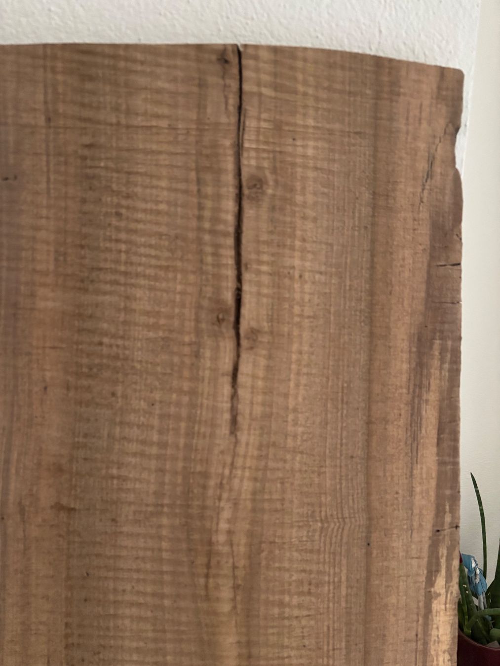 Holzartikel: Nussbaumbrett – Gebraucht aus Schaffhausen von sina_feivel 2