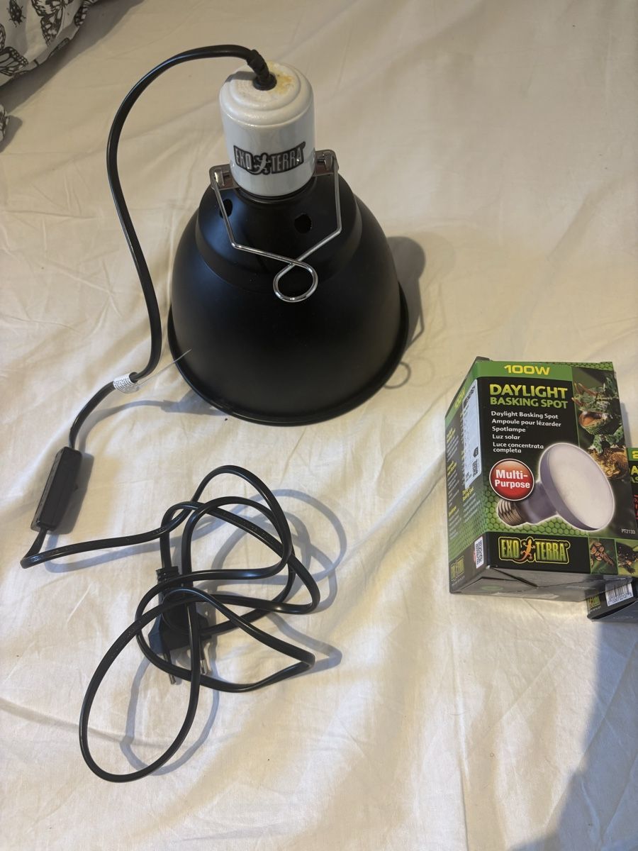 Exo terra Lampade: Lampe et ampoules pour terrarium – Nuovo (secondo la descrizione) da Le Grand-Saconnex venduto da pat_9wgt 1