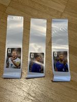 Panini Coca Cola WM Sticker