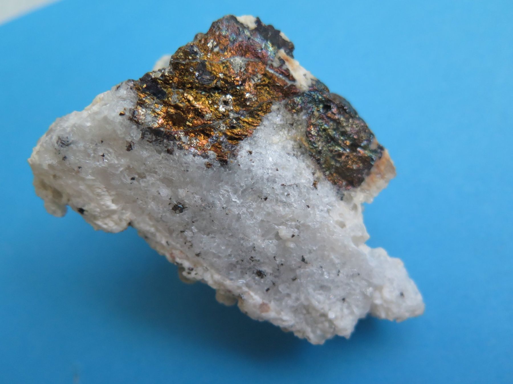 Minerali & Pietre curative: Quarz Stufe mit Pyrit und Dolomit – Usato da Schaffhausen venduto da Yamakana51L8736OQ8 4