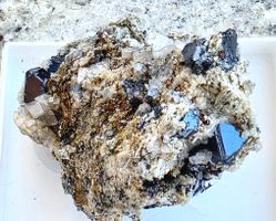 Magnetit mit Rutil. Rundum auskristallisiert.