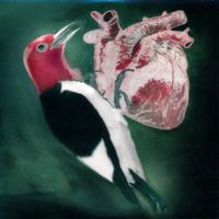 GROOMBRIDGE - DER SPECHT (CD im Cardboard-Sleeve)