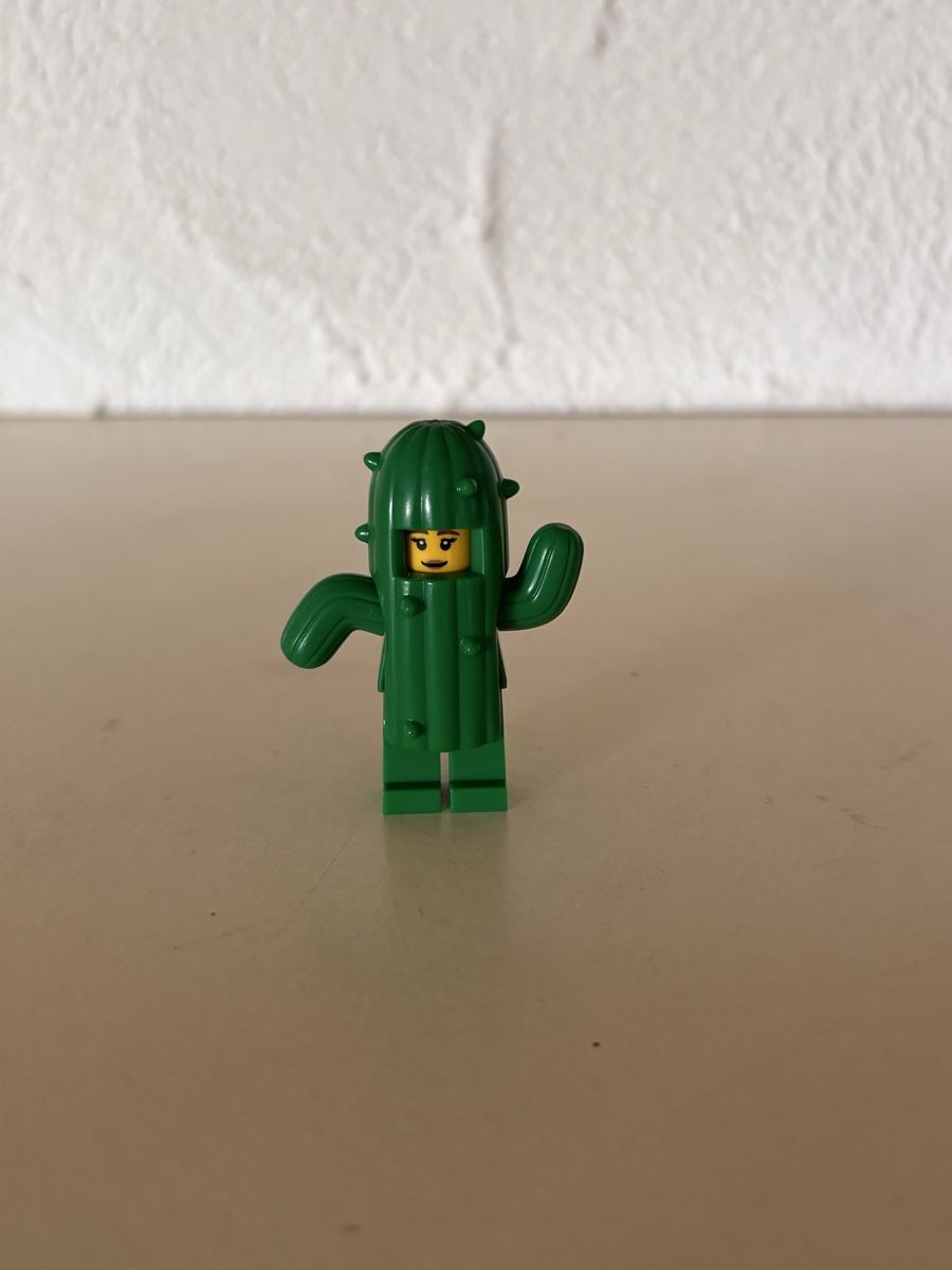 Lego Figurines: LEGO Kaktus Mädchen – D'occasion à Sissach par Geopatral
