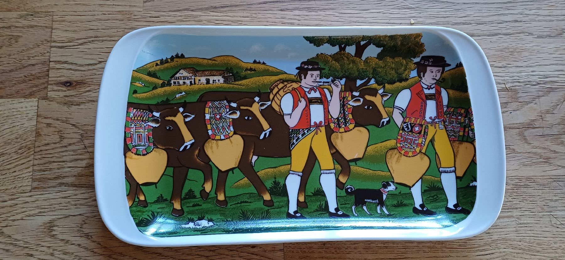Plateaux: Appenzeller Butterteller – D'occasion à Flawil par Naphtali 1