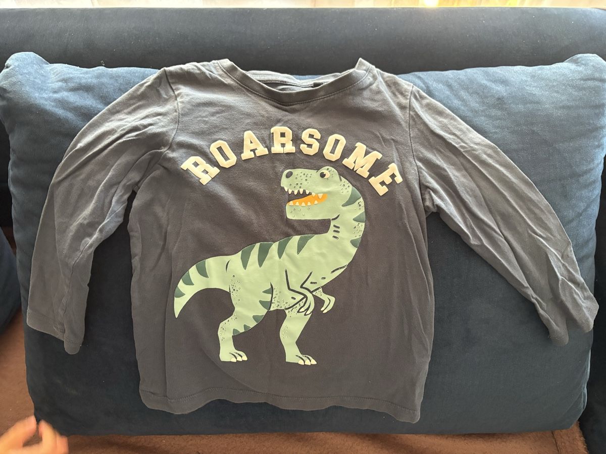 C&A Camicie, T-shirt & Polo: 4er.-Set LangarmShirt Gr. 104 – Usato da Oberhofen am Thunersee venduto da ver_n9w9 2