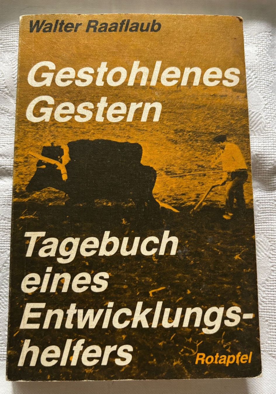 Libri: Gestohlenes Gestern - Tagebuch Entwicklungshelfers – Usato da Interlaken venduto da Poeschtli