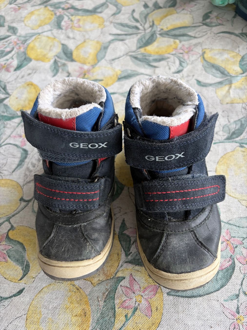 Geox Scarpe per ragazzi: Geox winter Schuhe 26 – Usato da Schlieren venduto da gor_jgx7