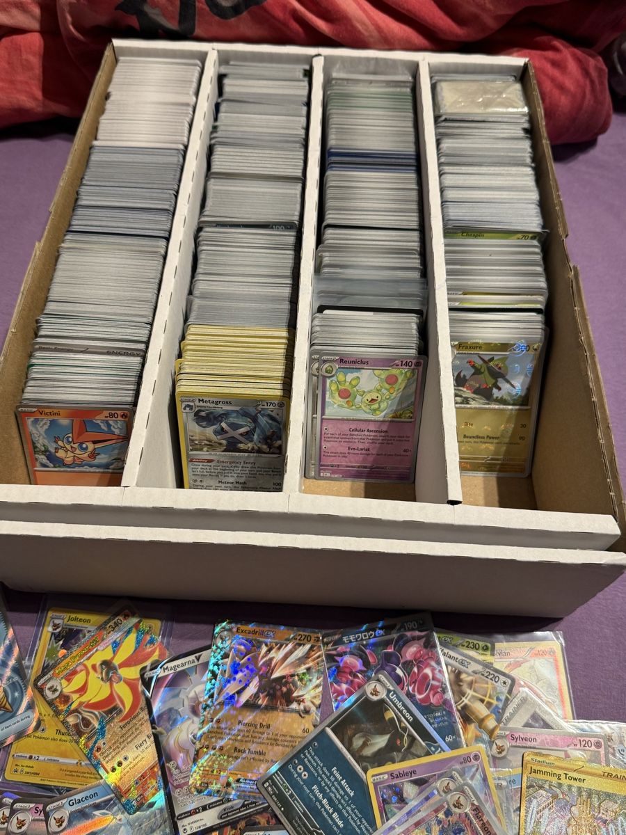 Pokémon Cartes à collectionner: Pokemon Bulk 8 kg + – Neuf (Voir description) à Winterthur par DragohunterTCG 1