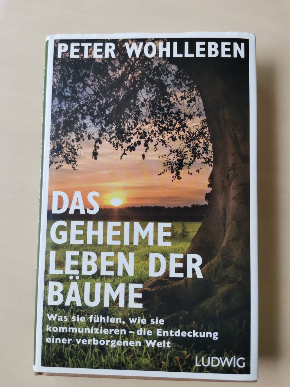 Bücher: Das geheime Leben der Bäume, Peter Wohlleben – Gebraucht aus Liestal von