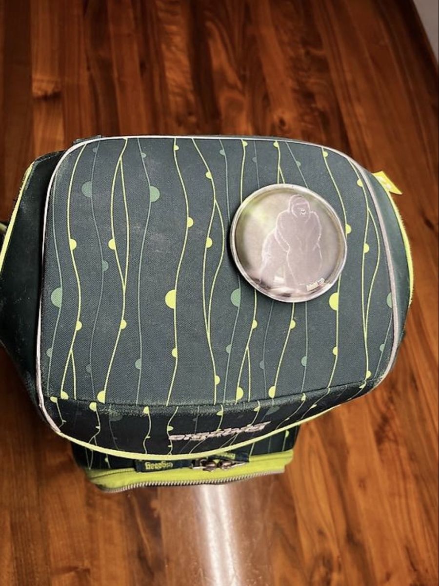 Ergobag Zaini: Ergobag Pack Schulrucksack, Dschungelbär – Usato da Roggwil BE venduto da WULU 1
