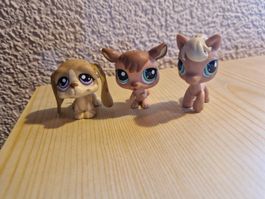 Littlest Pet Shop, 3er Set