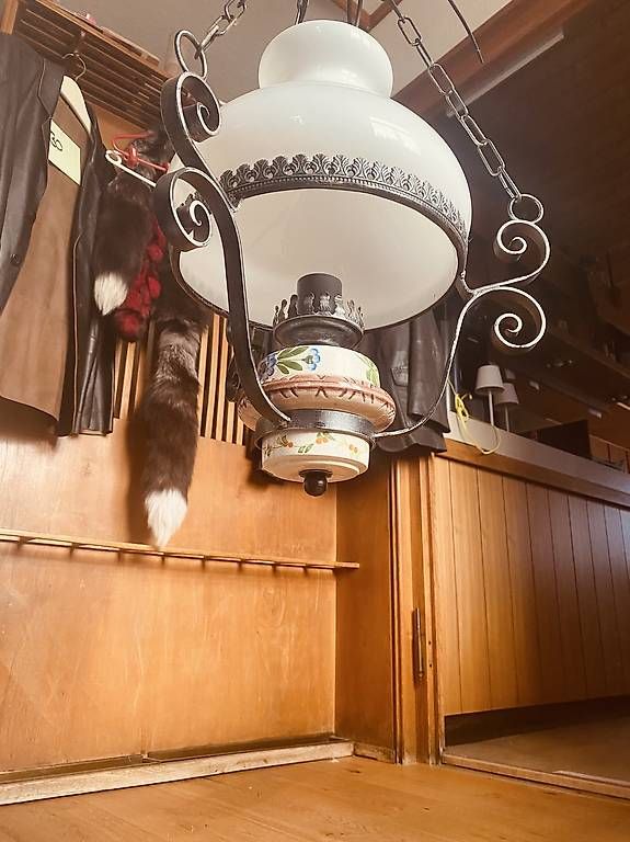 Lustres & lampes de plafonds: Deckenlampe rustikal 7 Stück  – D'occasion à Bürglen TG par jap_dcm6 3