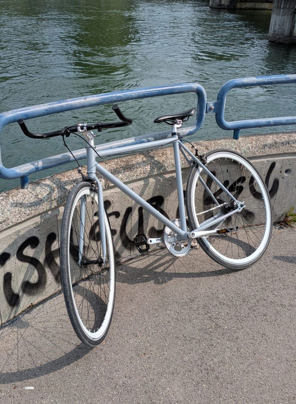 Biciclette: Singlespeed Velo in Grau – Usato da Zürich venduto da anthony_julien