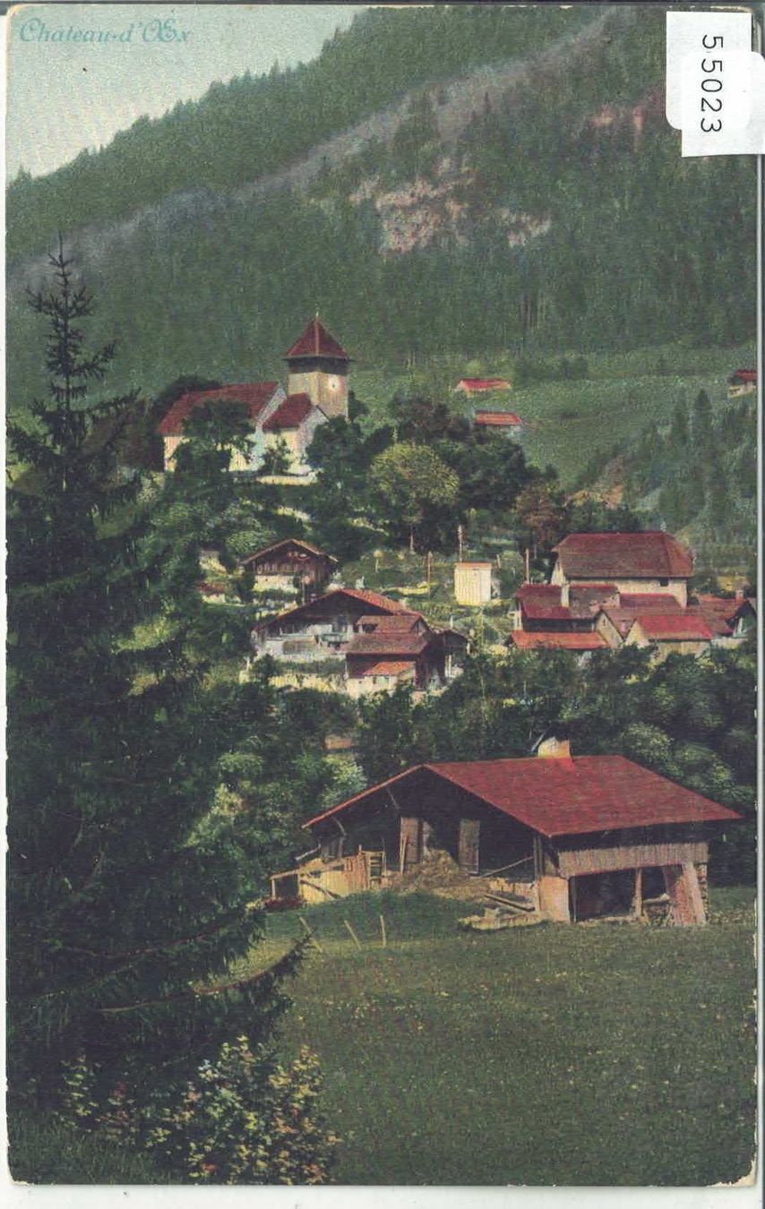 Cartoline postali: Chateau d'Oex - Generalansicht – Usato da Ettingen venduto da Kartenplanet
