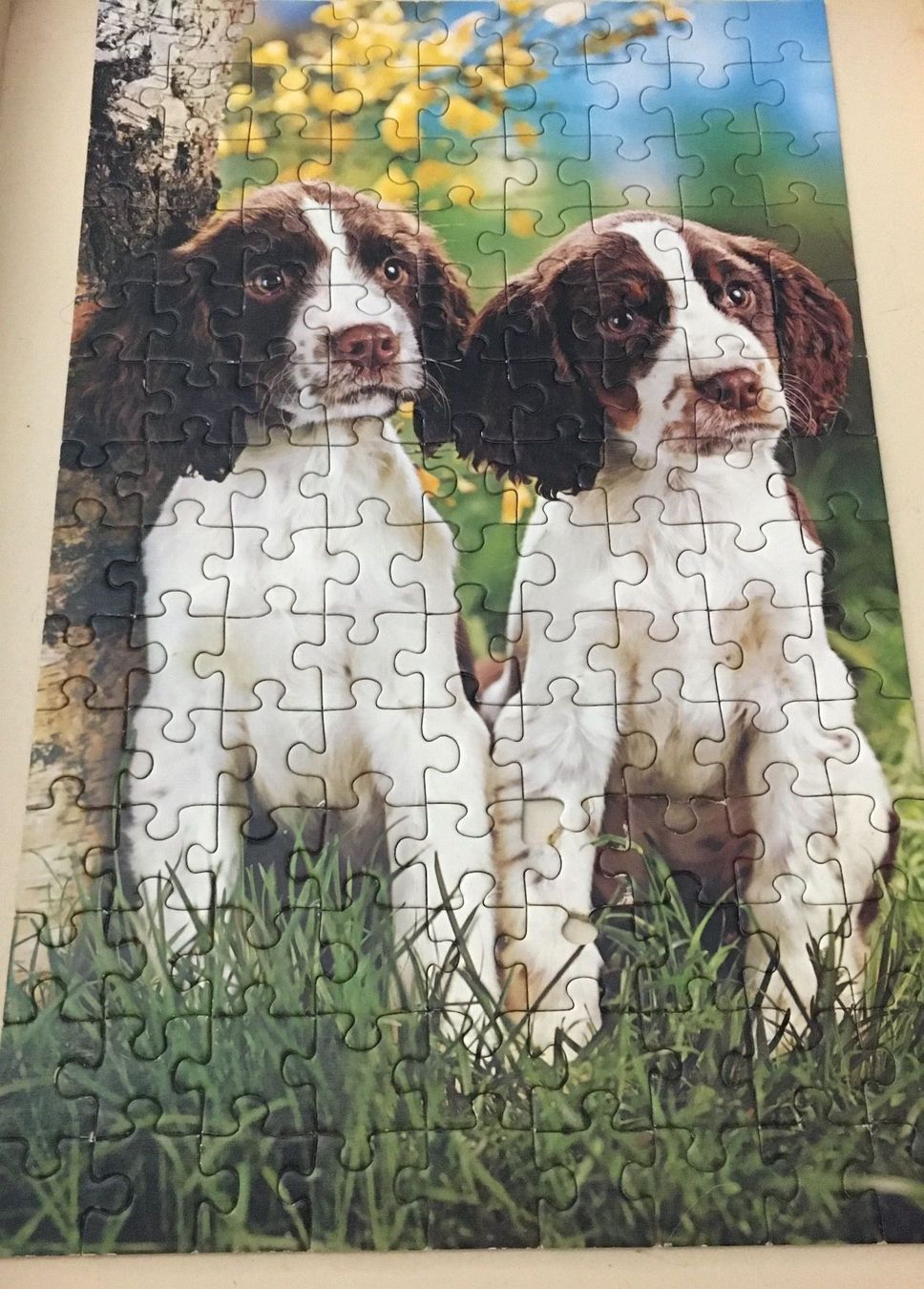 Puzzle: Ravensburger- Puzzle HUNDE 126 Teile – Usato da Siegershausen venduto da Bubsi83