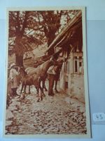 AK Pferde und Fohlen ,Aus dem Bauernleben Heimatschutzpost