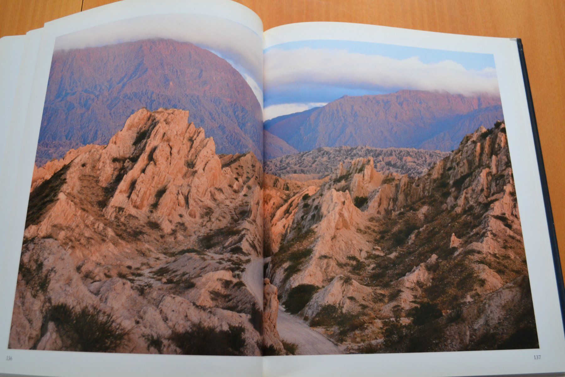 Libri: Buch Argentinien 160 Seiten – Usato da Beinwil am See venduto da kajak55 8
