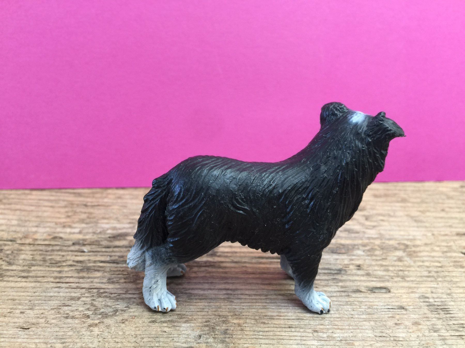 Schleich Statuette: Schleich Border Collie Hund – Usato da Ennetbaden venduto da mapa05 1