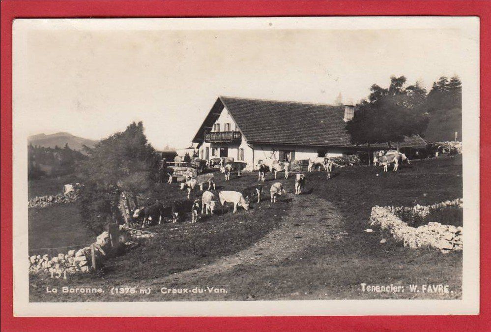 Cartoline postali: LA BARONNE CREUX-DU-VAN – Usato da Grüningen venduto da Kartenlaube