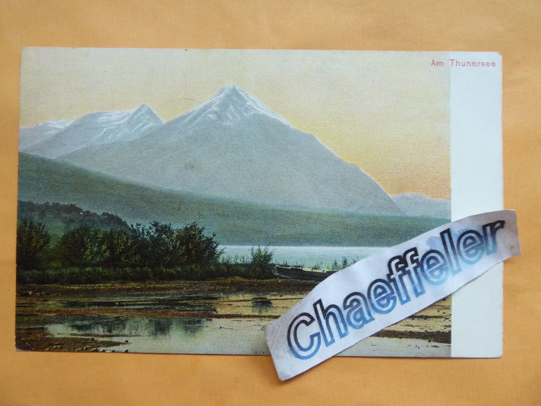 Cartoline postali: 1906  Am Thunersee – Usato da Zürich venduto da Chaeffeler