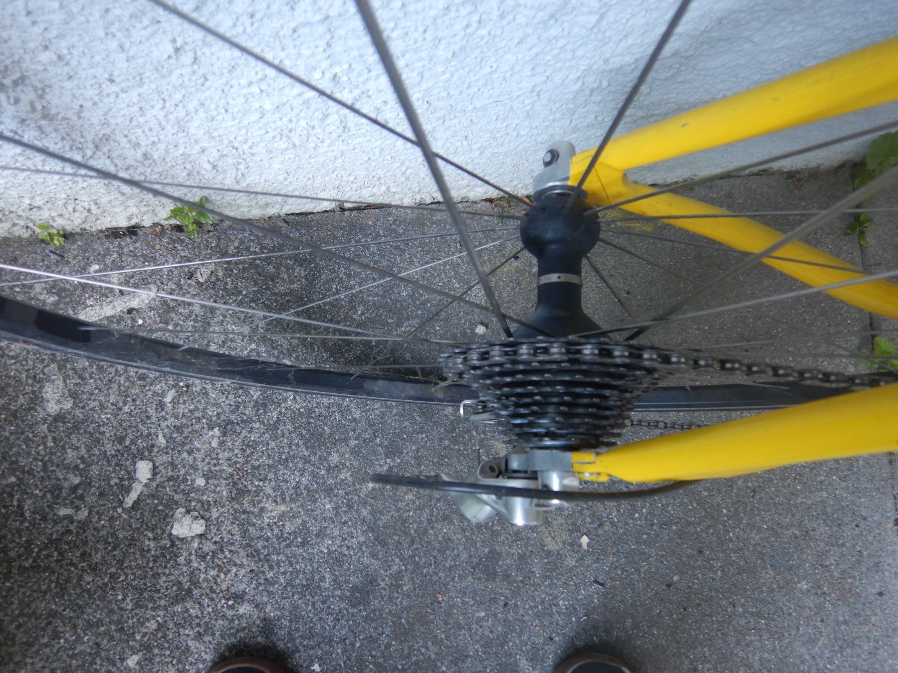 Campagnolo Vélos: Vélo de course Basso – D'occasion à La Neuveville par Faille_237 6