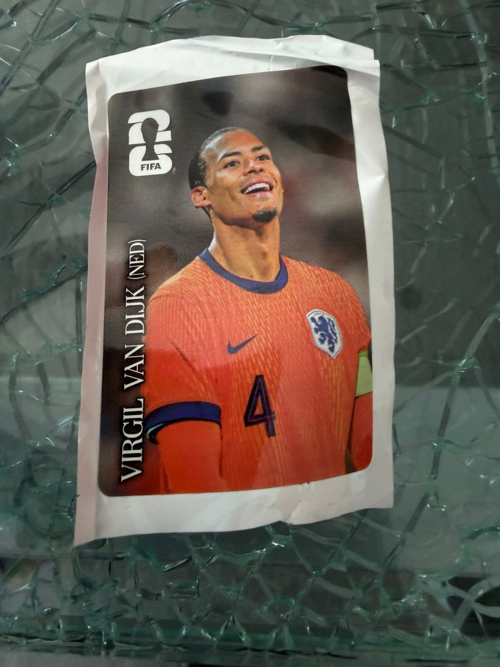 Coca-Cola Carte collezionabili: WM 2026 - Panini - Coca Cola - Virgil Van Dijk – Usato da Pfäffikon ZH venduto da Marcodesi76
