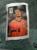 WM 2026 - Panini - Coca Cola - Virgil Van Dijk