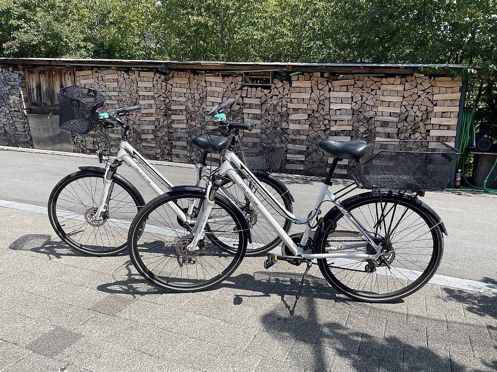 Biciclette: City-Bike 2 Stück – Usato da Stansstad venduto da Magnolie03