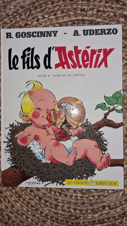 Fumetti: BD Le fils d'Asterix – Nuovo (secondo la descrizione) da Châtonnaye venduto da Jaydee6