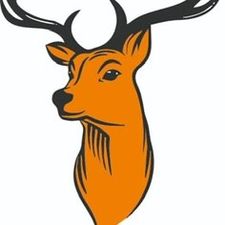 Profile image of to-hirschi
