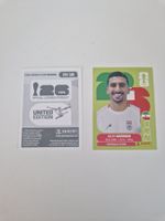 Panini Sticker IRN10