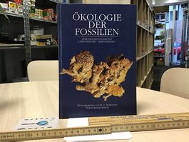 Ökologie der Fossilien - Fachbuch 250SEITEN