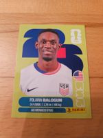 Panini WM 2026 USA 20