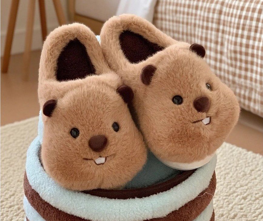 Scarpe da donna: Warme Capybara Hausschuhe – Nuovo e nell'imballaggio originale da Lausanne venduto da animalopolis 2