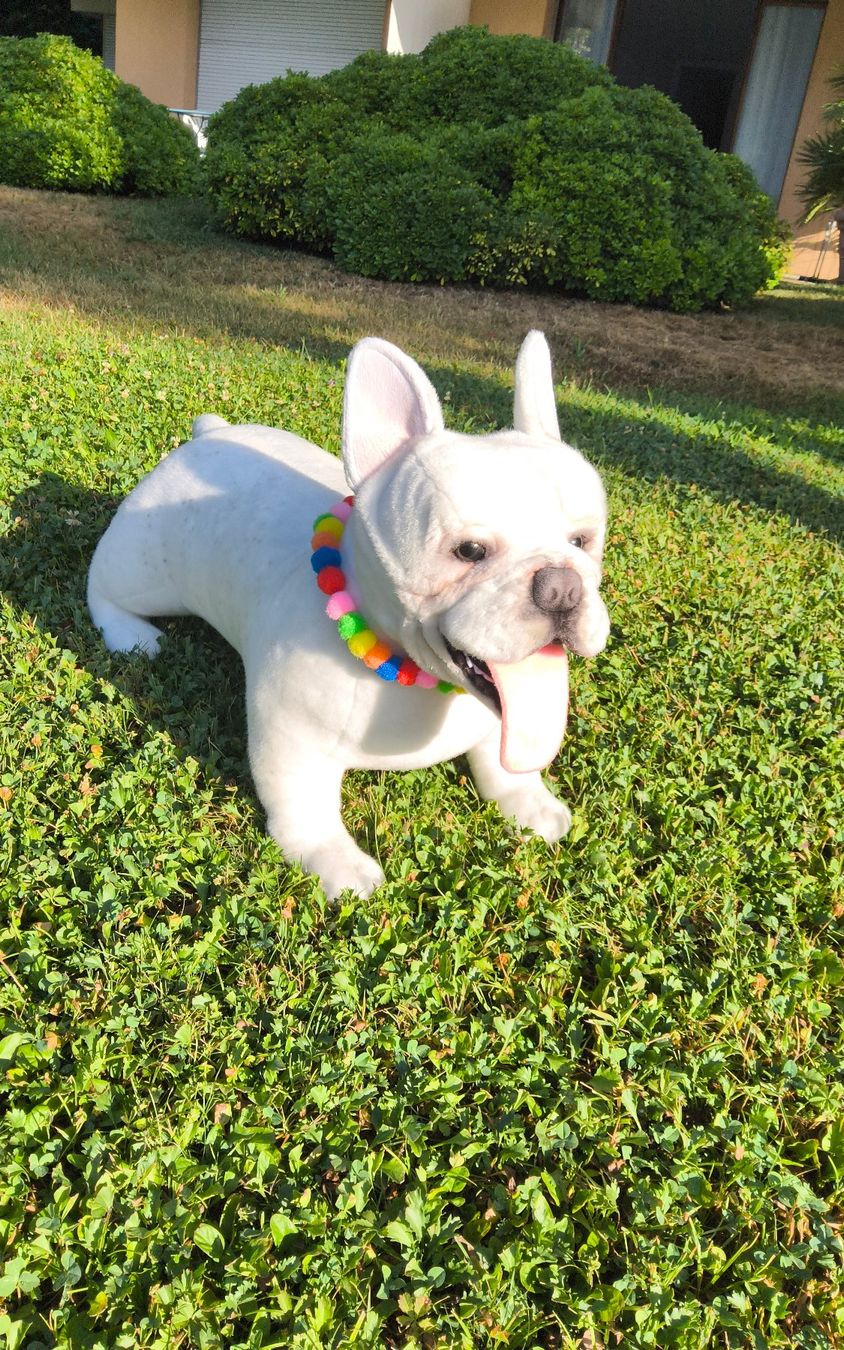 Jouets: French  Bulldog  Plüsch – Neuf (Voir description) à Castagnola par Cat-WomenX