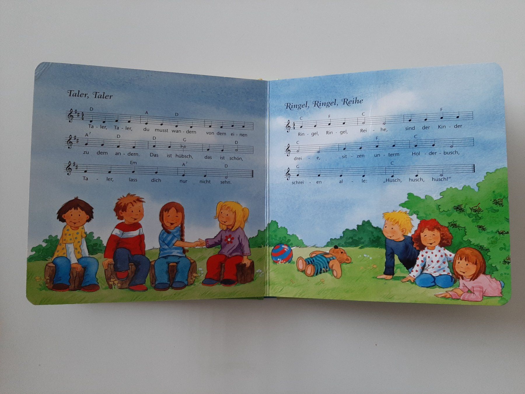 Libri: Ravensburger Meine schönsten Kinderlieder – Usato da Aarburg venduto da NDK 1