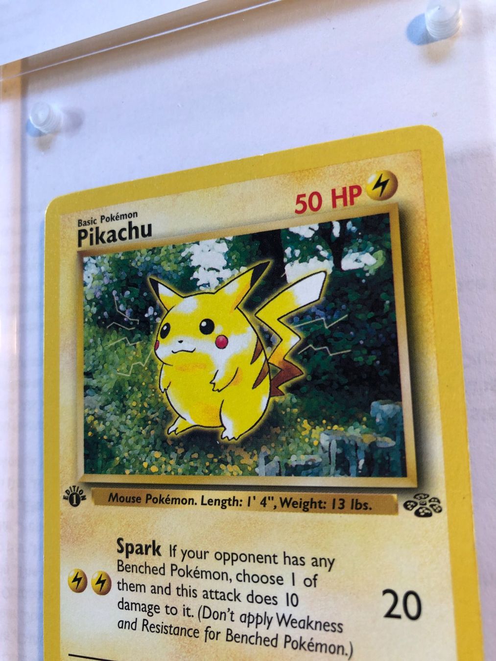 Sammelbilder & Trading cards: Pikachu 1st Jungle - NM - ab 1.- – Gebraucht aus Giubiasco von dan_pr8b 3