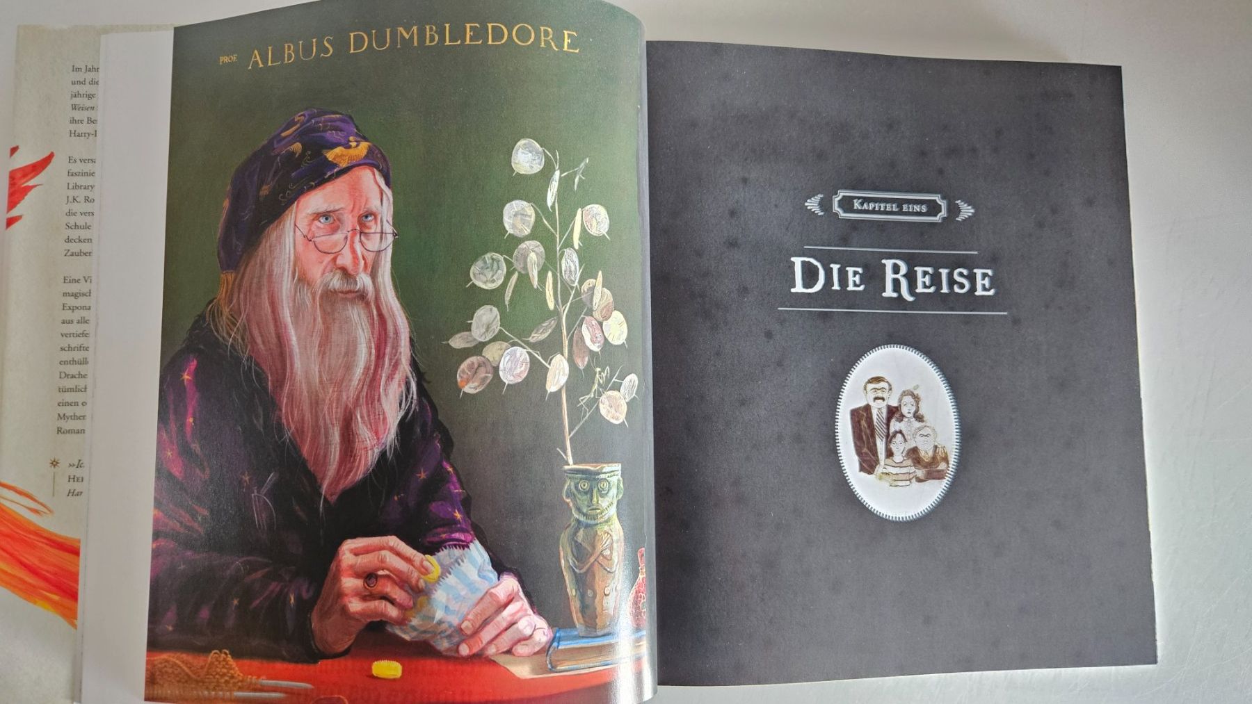 Libri: Harry Potter: Eine Geschichte voller Magie – Usato da Basel venduto da True_Hofer_Store 2