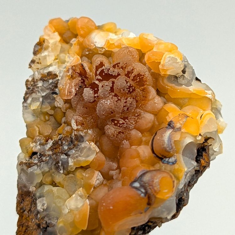 Top SMITHSONIT ORANGE, Mammillär, Sardinien (Nuovo (secondo la